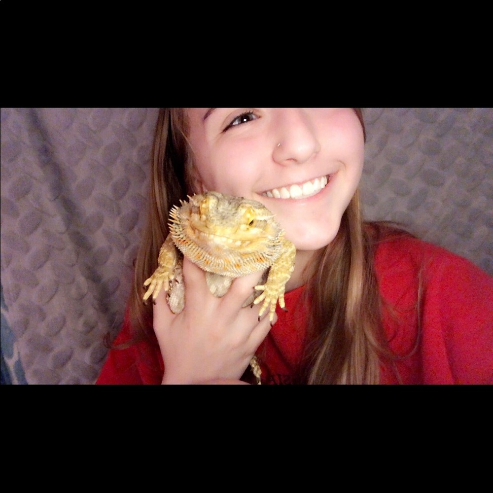 Meet your Posher, Paige